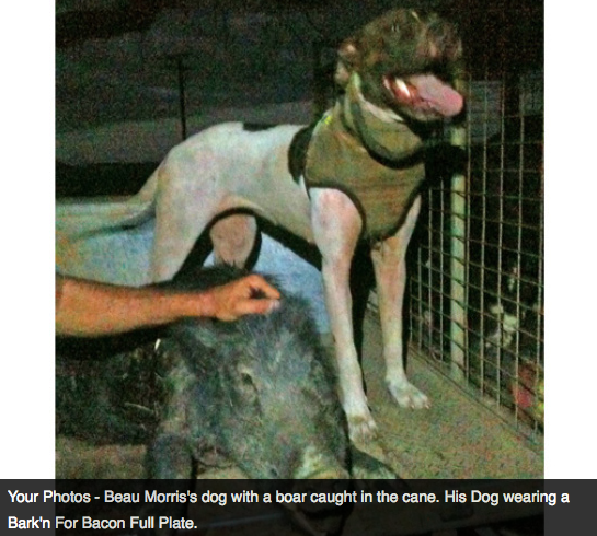 Screen Shot 2013-10-02 at 1.35.01 PM